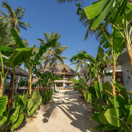 Maisha Matamu Boutique-3